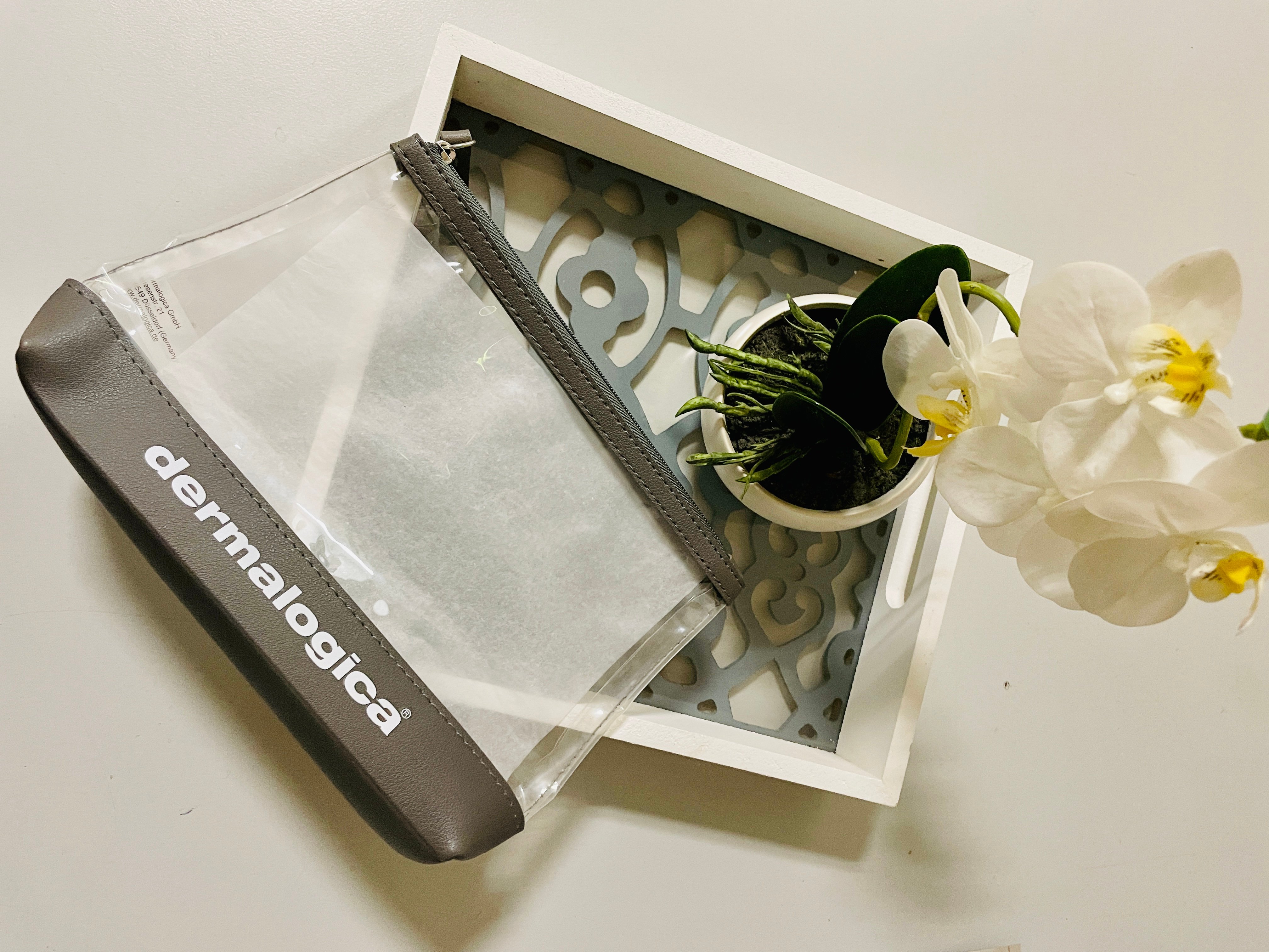 IMG_2316 Sac de voyage Dermalogica transparent