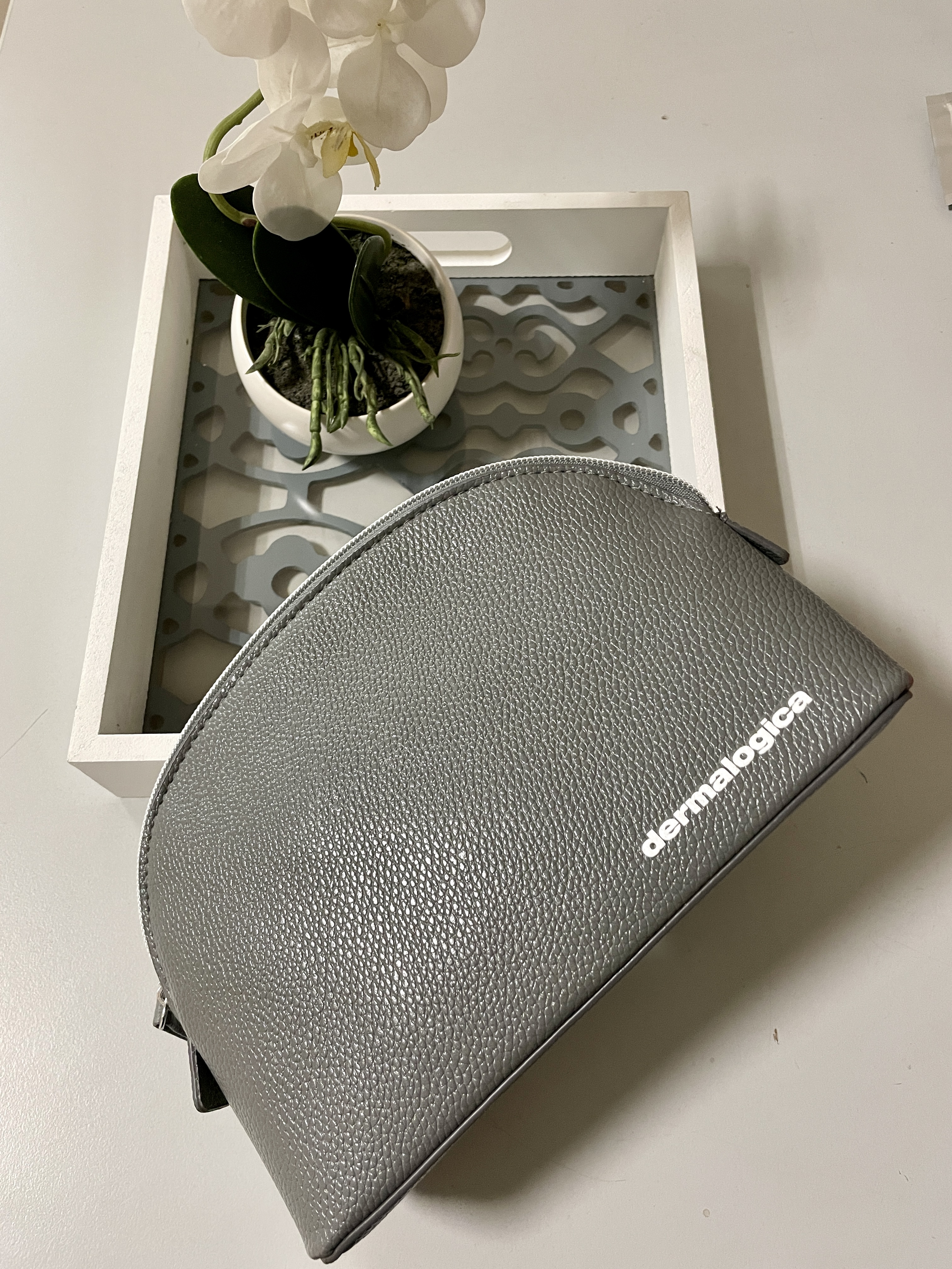 Sac de beauté Dermalogica gris