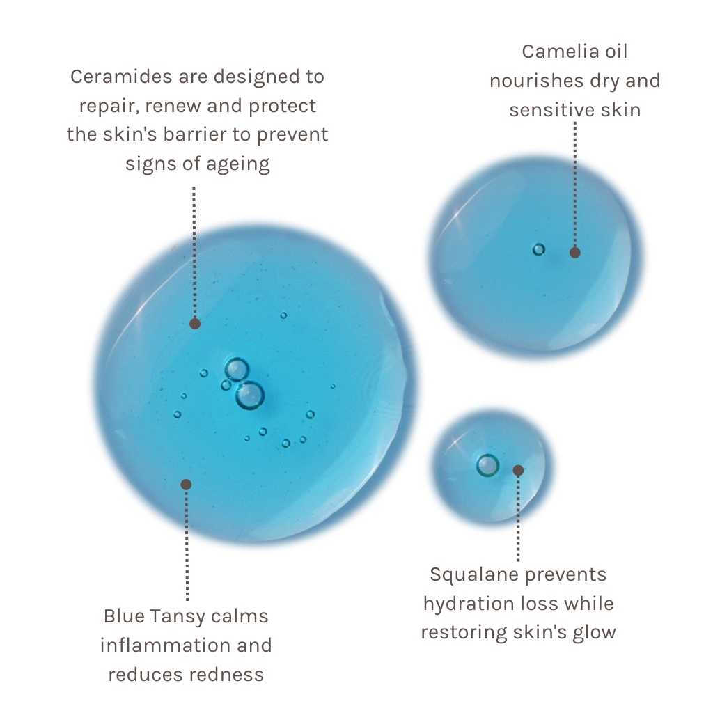 Drei blaue Tropfen des Blue Velvet Ceramide Serums mit Beschriftungen zu Ceramiden, Kamelienöl, Blue Tansy und Squalan.