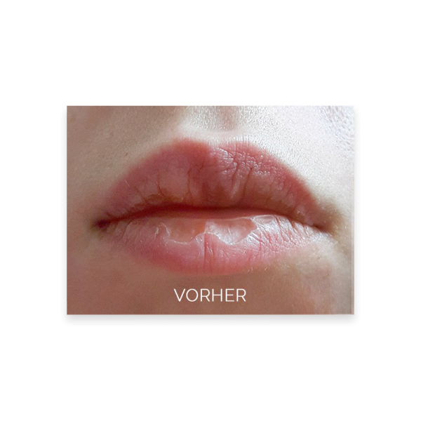 Luscious Lips Pinkaliscious Lipgloss