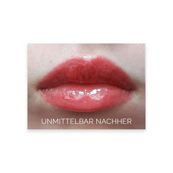 Luscious Lips Pinkaliscious Lipgloss